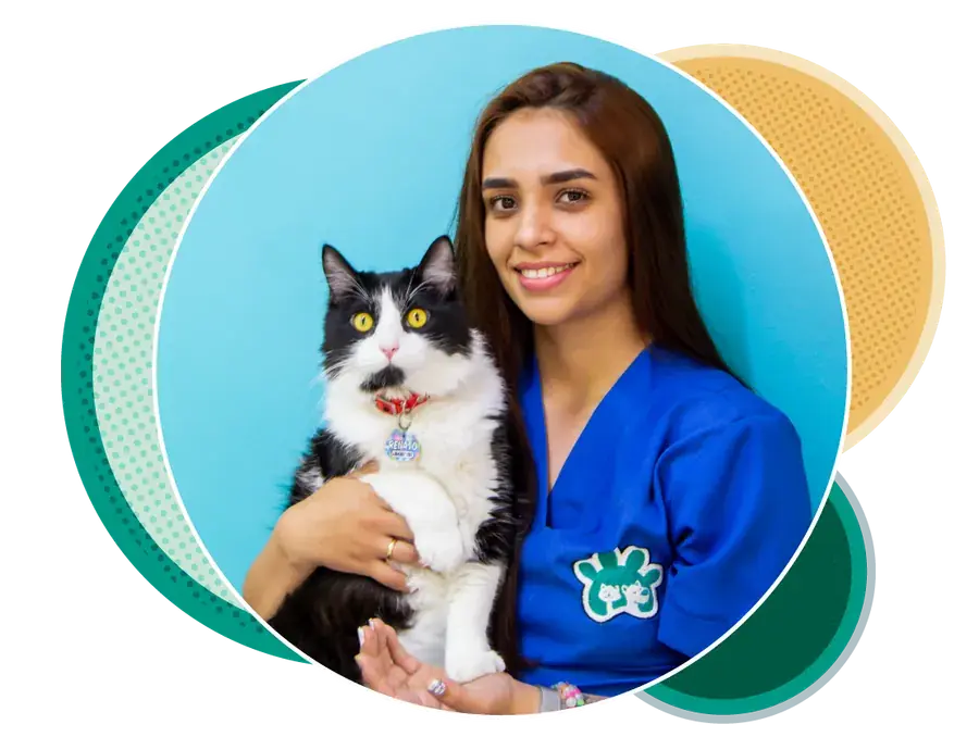 Médica veterinaria de Domesticados con un gato en brazos